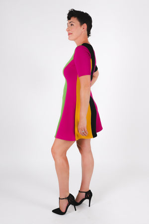 Flossy Fit and Flare Dress | Multi-Color